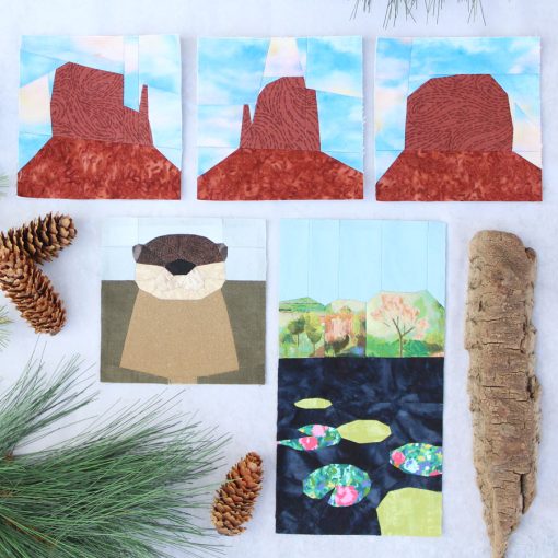 National Park Pattern Club